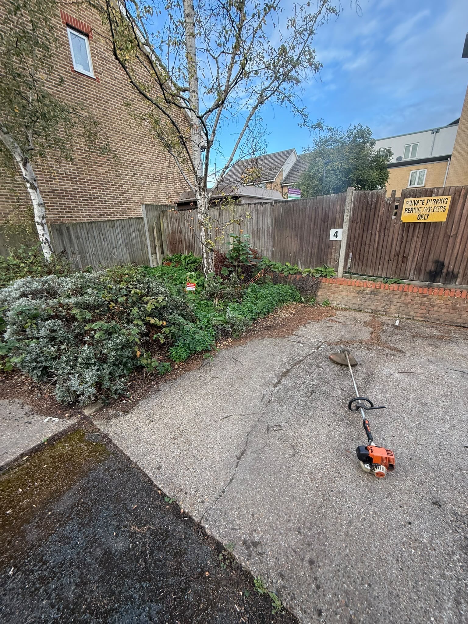Commercial grounds maintenance