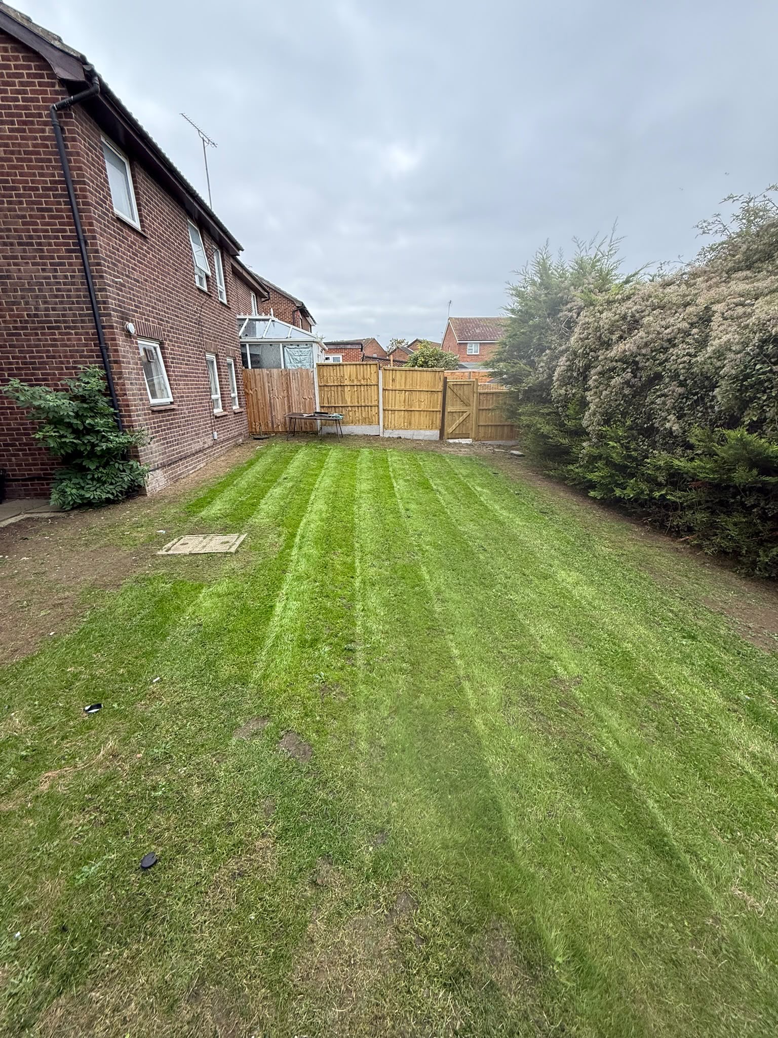 Commercial lawn mowing and striping