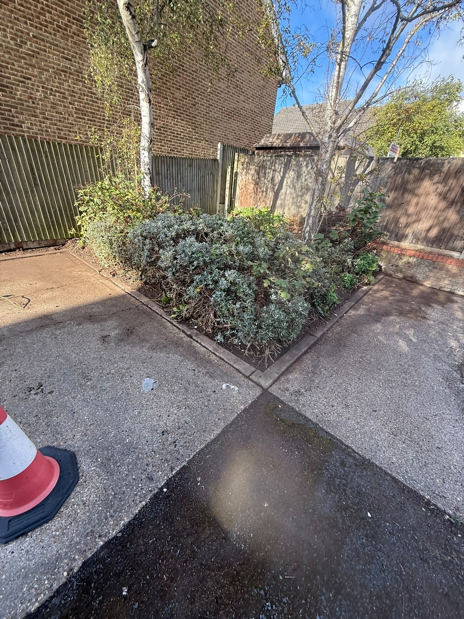 Commercial shrub bed clearance