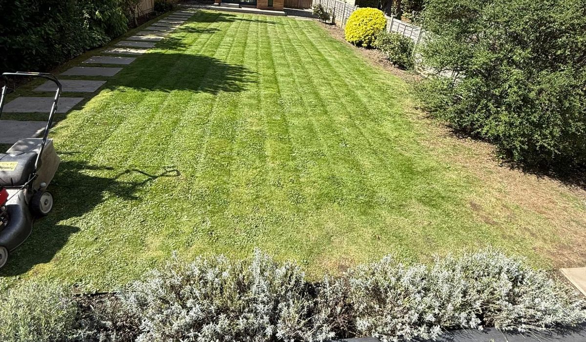 Garden maintenance by The Wright Exteriors