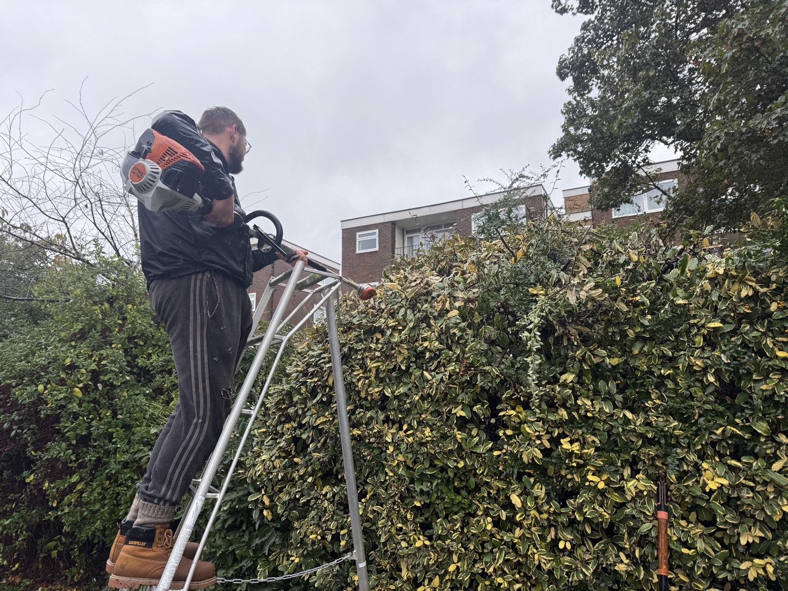Tall Hedge Trim by The Wright Exteriors